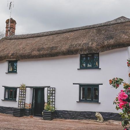 'The Cottage' Okehampton Exterior photo