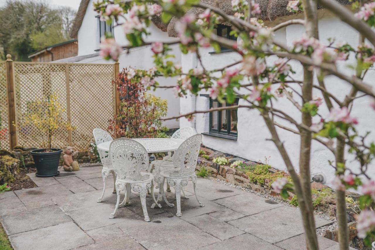 'The Cottage' Okehampton Exterior photo
