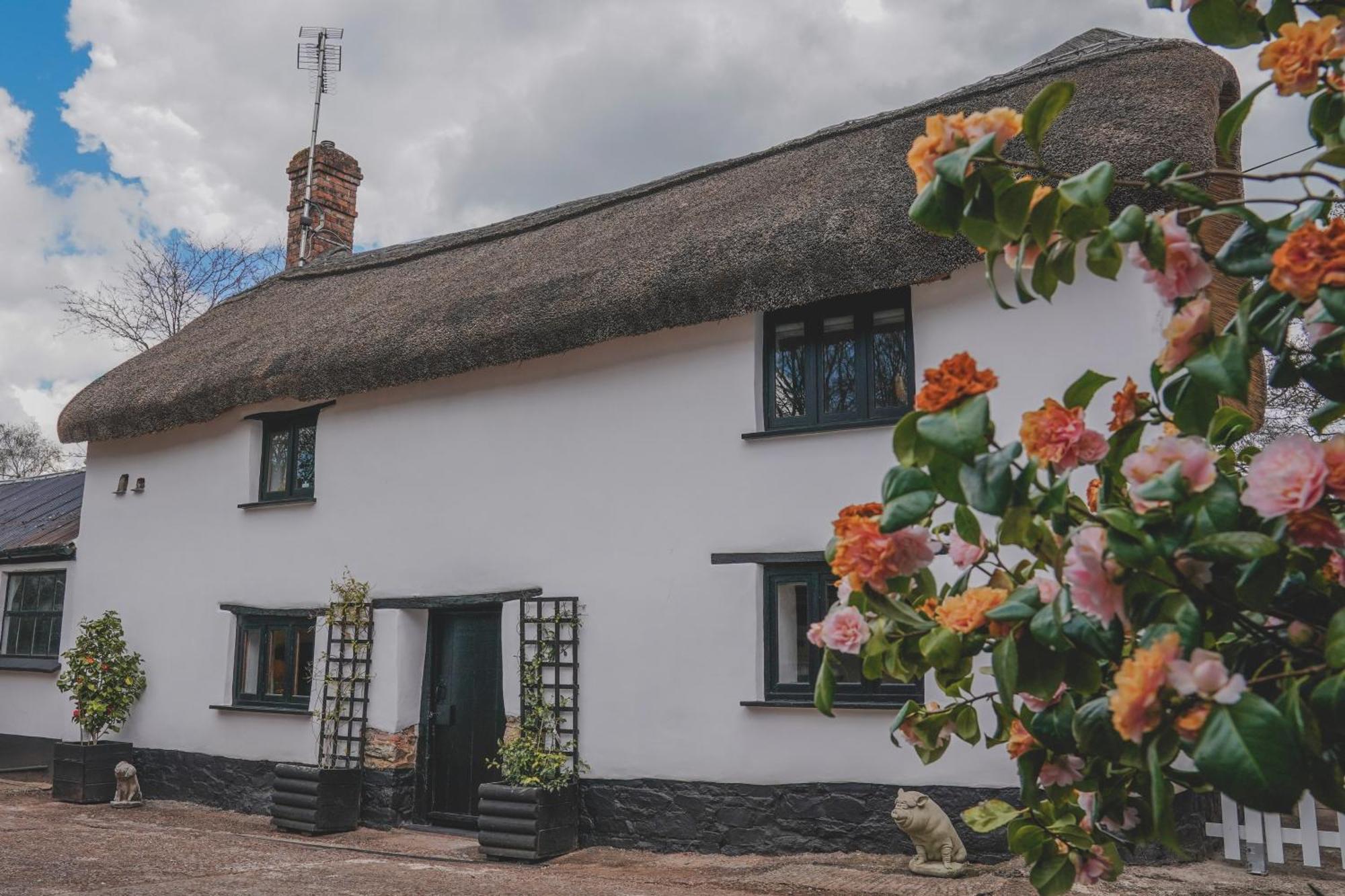 'The Cottage' Okehampton Exterior photo